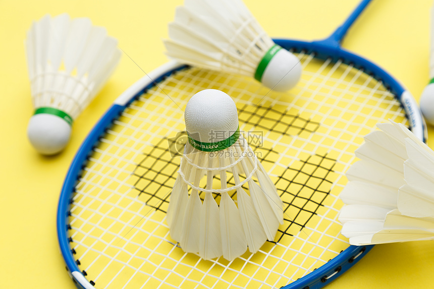 青岛红狮队 青岛红狮队