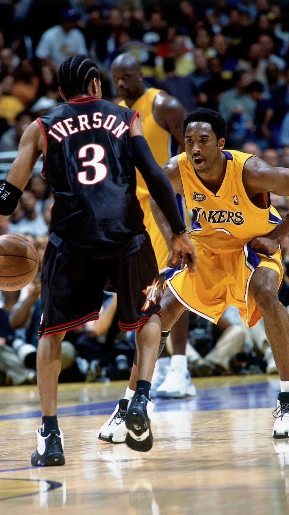 多赛道问鼎 多赛道问鼎