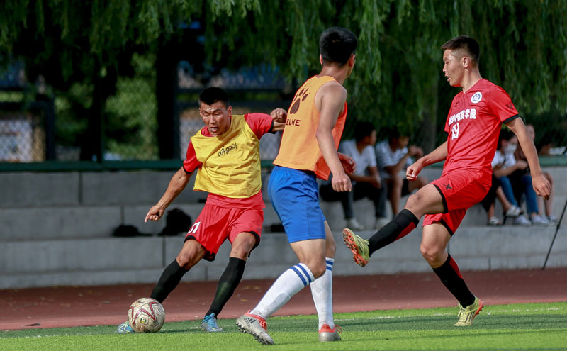 构分摊话语 构分摊话语